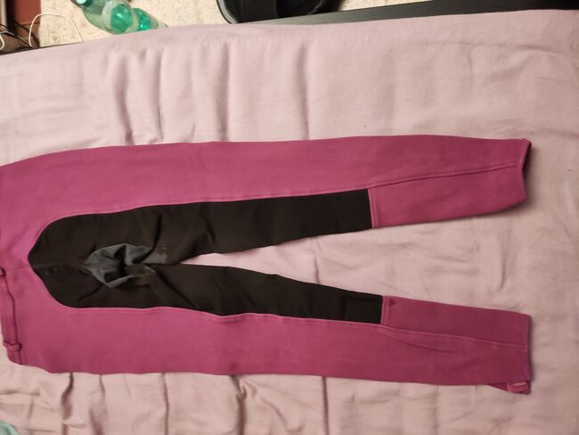 Reithose Pink, Eileen, Breeches & Jodhpurs, Leonberg, Image 2