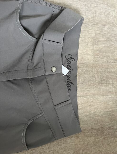 Reithose Springstar, Springstar , Franzi  Strohbach, Reithosen, Neuenkirchen , Abbildung 3