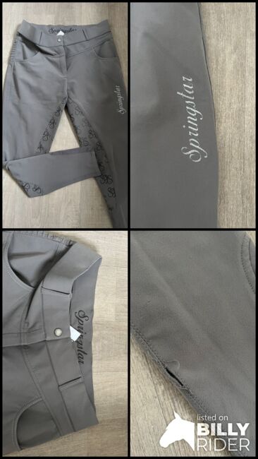 Reithose Springstar, Springstar , Franzi  Strohbach, Reithosen, Neuenkirchen , Abbildung 6