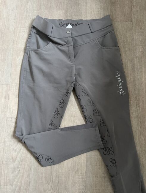 Reithose Springstar, Springstar , Franzi  Strohbach, Reithosen, Neuenkirchen 