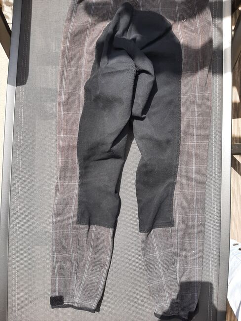 Reithose Vollbesatz, Equilibre , Diana Bock , Reithosen, Monheim, Abbildung 3