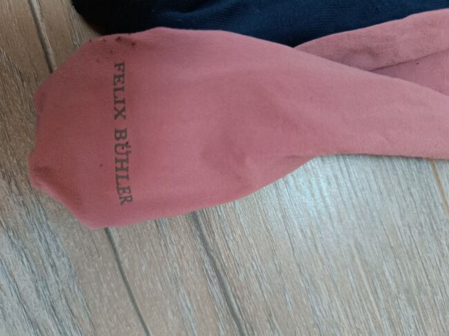 Reitsocken, Aileen , Sonstiges, Sachsen , Abbildung 4