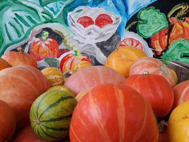 Reitsport Auflösung, heike bolduan, Reitstiefeletten, Bernburg