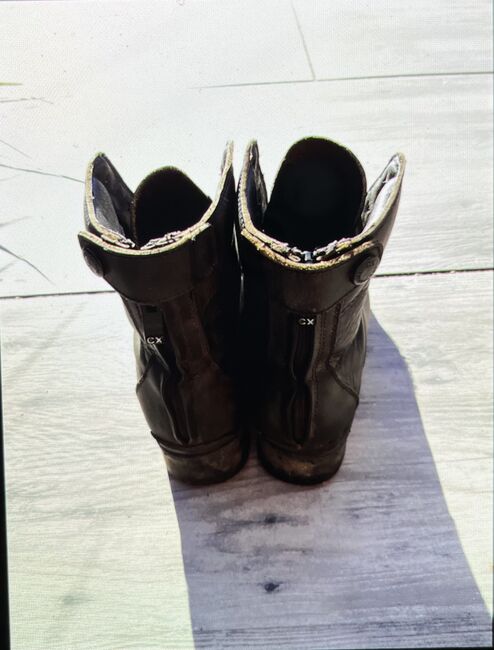 Reitstiefelletten, Laura , Reitstiefeletten, Harsefeld