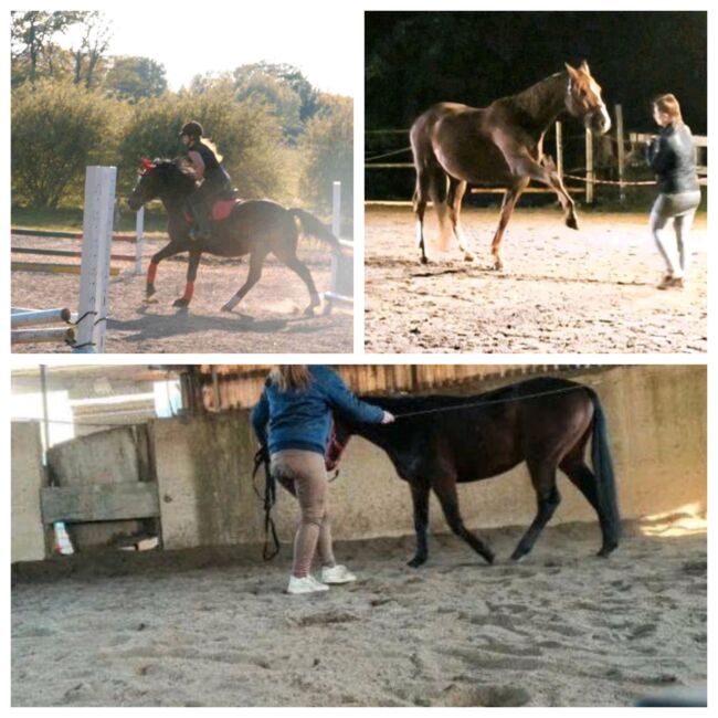 Reitunterricht, Saskia Rosche (Sliont Equine), Reitunterricht, Wittorf, Abbildung 4