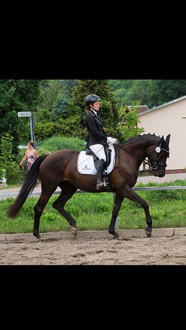 Reitunterricht Dressur, Lisa, Reitunterricht, Limbach-Oberfrohna, Abbildung 4