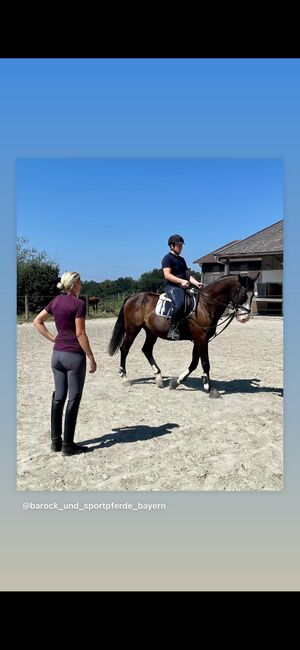 Reitunterricht für Kinder und Erwachsene, Adriane Schmedemann Reitschule, Reitunterricht, Schonstett 
