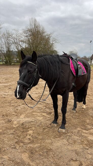 Reitunterricht Reittherapie Kindergeburtstag, Franzi, Reitunterricht, Ebsdorfergrund, Abbildung 4