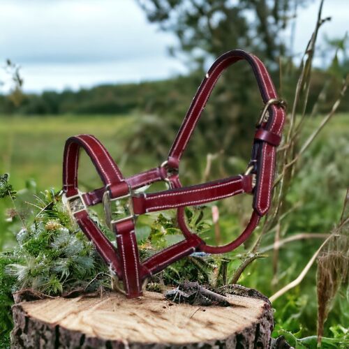 Stabiles Lederhalfter aus spanischer Sattelmeisterei ** Einzelstück ** UVP 95€, WOW Pferd  (WOW Pferd), Halters, Bayern - Attenkirchen