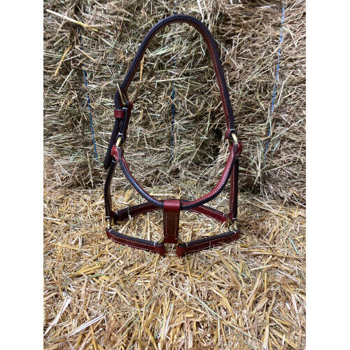 Stabiles Lederhalfter aus spanischer Sattelmeisterei ** Einzelstück ** UVP 95€, WOW Pferd  (WOW Pferd), Halters, Bayern - Attenkirchen, Image 3