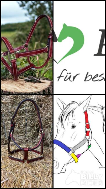 Stabiles Lederhalfter aus spanischer Sattelmeisterei ** Einzelstück ** UVP 95€, WOW Pferd  (WOW Pferd), Halters, Bayern - Attenkirchen, Image 7