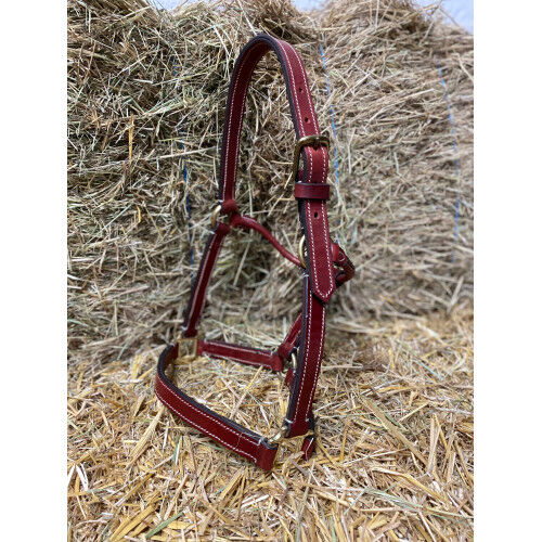 Stabiles Lederhalfter aus spanischer Sattelmeisterei ** Einzelstück ** UVP 95€, WOW Pferd  (WOW Pferd), Halters, Bayern - Attenkirchen, Image 4
