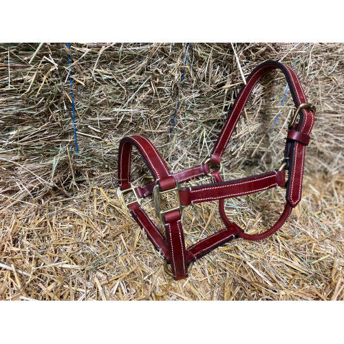 Stabiles Lederhalfter aus spanischer Sattelmeisterei ** Einzelstück ** UVP 95€, WOW Pferd  (WOW Pferd), Halters, Bayern - Attenkirchen, Image 2