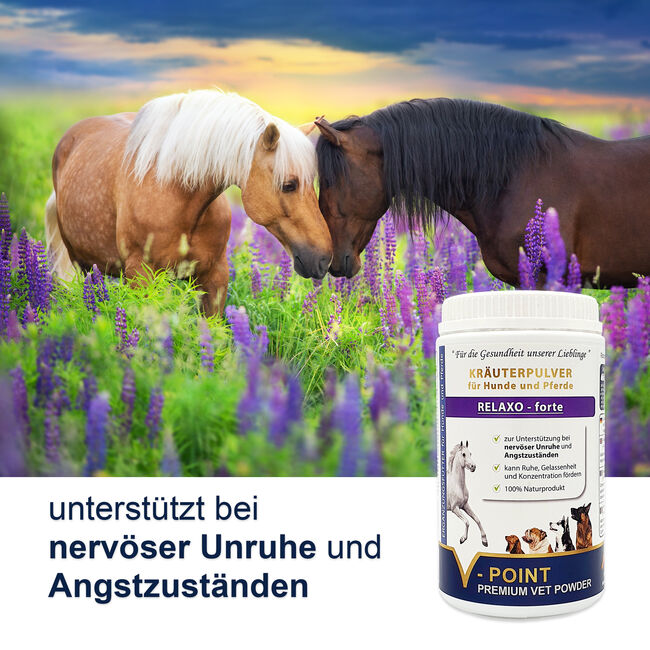 RELAXO forte – Premium Kräuterpulver für Hunde und Pferde, V-POINT VP-KP-RELAX-500-1, V-POINT premium pet food GmbH, Horse Feed & Supplements, Hausmannstätten, Image 2