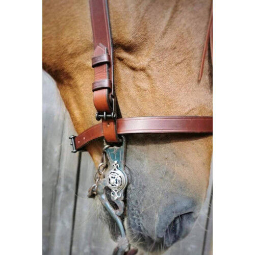 Renaissance Kandare Barock Rainbow Gebiss mit silbernen Bouchettes, WOW Pferd  (WOW Pferd), Horse Bits, Bayern - Attenkirchen, Image 5