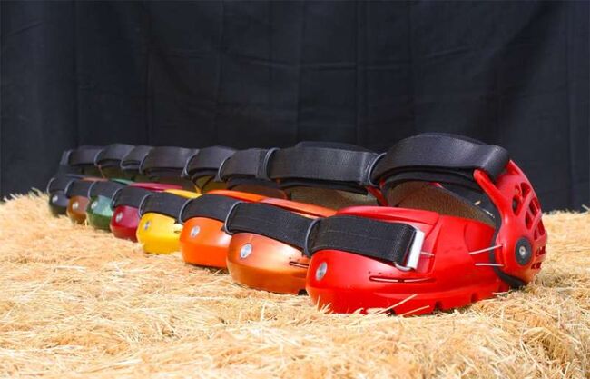 Renegade #1, Renegade classic, Jessica, Hoof Boots & Therapy Boots, Pistoia