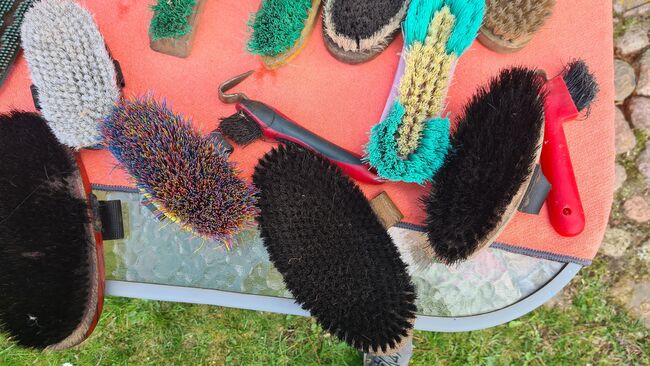 Putzkoffer mit Bürsten Putzzeug uvm, Sara, Grooming Brushes & Equipment, Dierhagen, Image 3