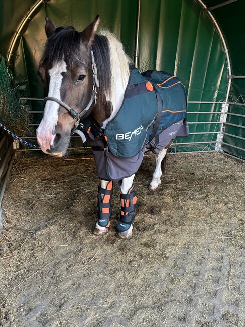 Vermietung: Bemer Horse Set, Bemer Horse Set, Equimed Solution, Care Products, Marlow