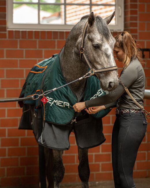Bemer Mieten & Kaufen möglich Beratung Telefonisch oder auch bei euch im Stall, Bemer Horse Set, SMBT Handels- & Dienstleistungsservice  (SMBT Handels-& Dienstleistungsservice ), Horse Blankets, Sheets & Coolers, Liebenburg, Image 2