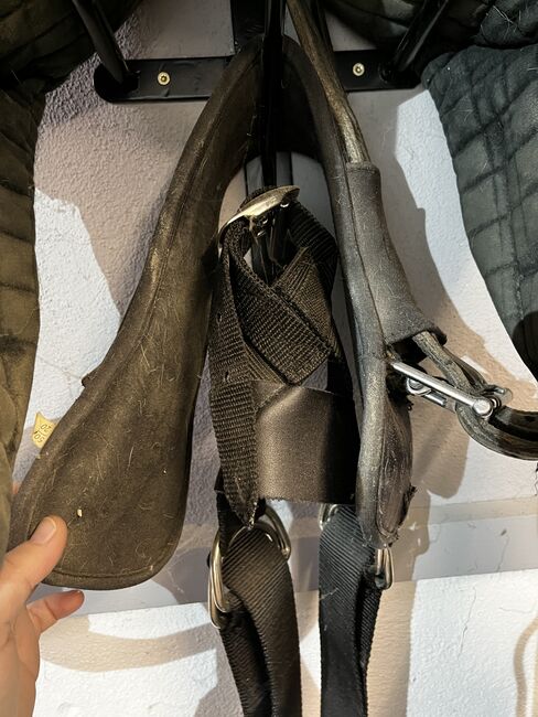 Reserviert - Sattel kurz Podium mit ROC Platten, Podium, Angelina, Endurance Saddle, Bitz, Image 14
