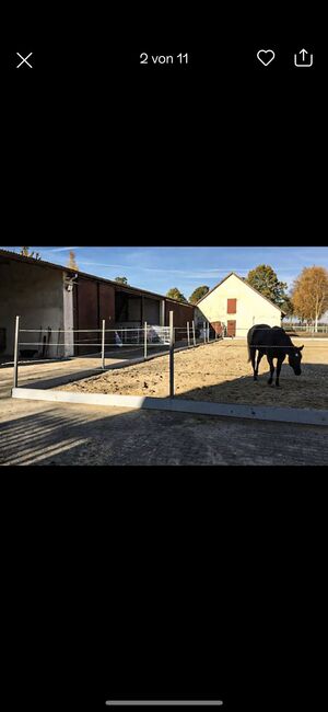 Resthof plz 27254 2WE, Halle, Platz, Mistplatte, Walter, Equestrian Properties, Siedenburg , Image 8