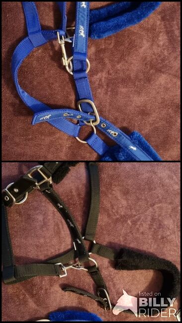 Rhinegold padded headcollars size full, Catriona Hunter , Halters, Whitburn, Image 3