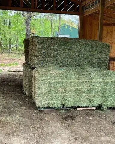 Rhode-Gras-Heu/Luzerna-Heu/Timothy-Heu für Tierfutter, Janina , Hay & Straw, Bayern , Image 4
