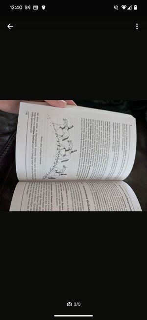 Richtlinien für Reiter und Pferd, Beatrice , Bücher, Basel , Abbildung 3