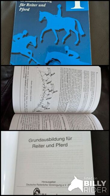 Richtlinien für Reiter und Pferd, Beatrice , Bücher, Basel , Abbildung 4