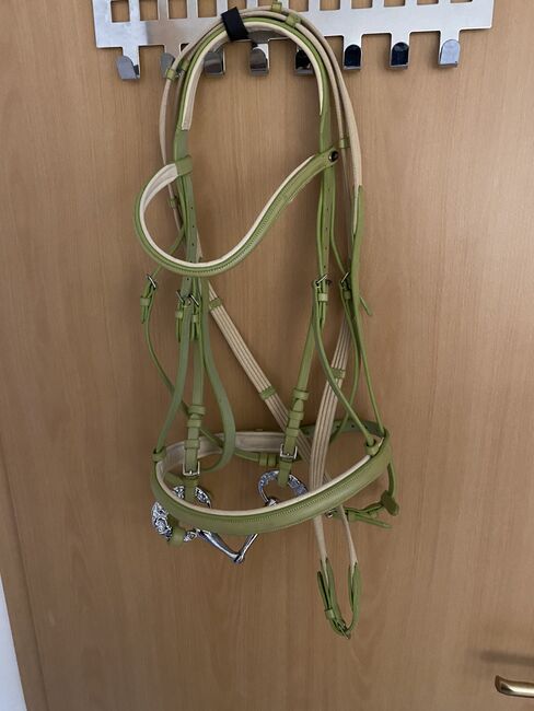 Reitsport Trense, Wembley, Julien Koch , Bridles & Headstalls, Breitenbach 