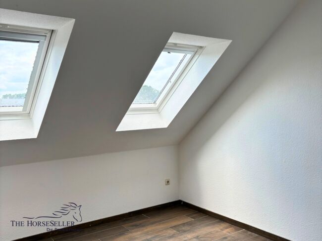 Reitanlage mit Stall & Wohnung zu verpachten – Reitschulgründung, Silke Köhler , Equestrian Properties, Schneverdingen, Image 7
