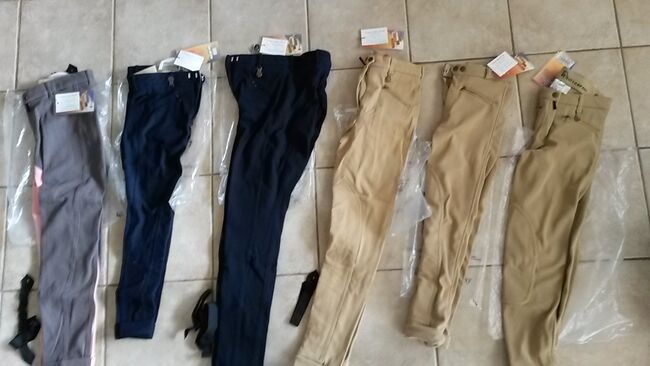 Reithosen Kinder NEU verschiedene, Jodpur, Polyamide, Verschiedene Verschiedene, Patti, Children's Breeches & Jodhpurs, Mainz-Kastel