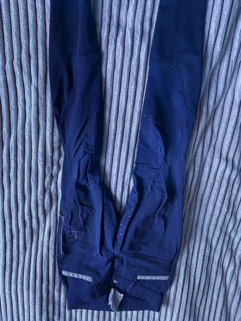 Reithose in 36, Covalliero , Julika , Breeches & Jodhpurs, Dannenberg