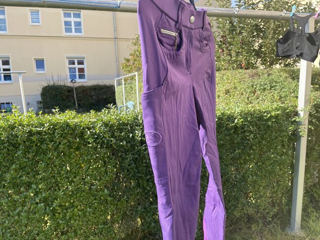 RidersChoice Reithose Royal Purpel Größe 38, RidersChoice Sommer-Reithose , Lilly Schuldt, Breeches & Jodhpurs, Dresden, Image 6