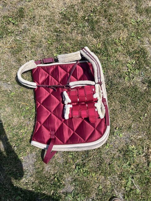 Ridersdeal Set Schabracke Halfter Gamaschen Rot, Ridersdeal , Kiara , Dressage Pads, Hamm 