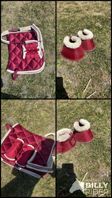 Ridersdeal Set Schabracke Halfter Gamaschen Rot, Ridersdeal , Kiara , Dressage Pads, Hamm , Image 5