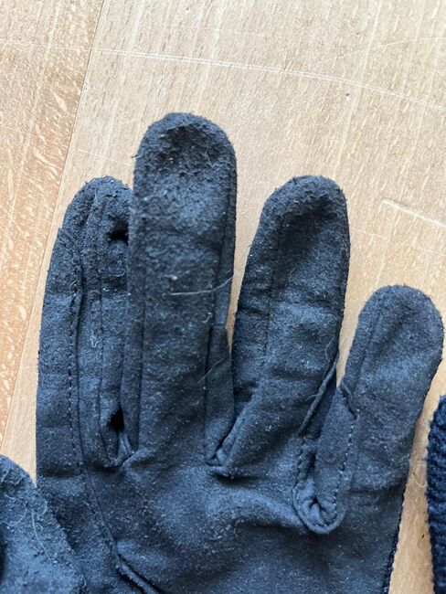 Reithandschuhe, Pfiff, Iris Seidl, Riding Gloves, Scharfling, Image 3