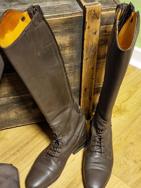 Reitstiefel braun 38 & Stiefeltasche von HV Polo, HV Polo  Reitstiefel , Jessi, Riding Boots, Lübeck , Image 6