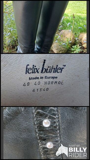 Reitstiefel Felix Bühler Milano 41/42, Felix Bühler Milano, Julia, Riding Boots, Schortens Oestringfelde, Image 4