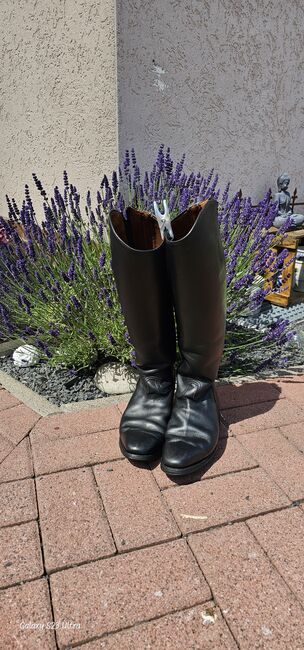 Reitstiefel von Königs, Königs, Bianka Heinemann, Riding Boots, Leimbach-Kaiseroda, Image 5