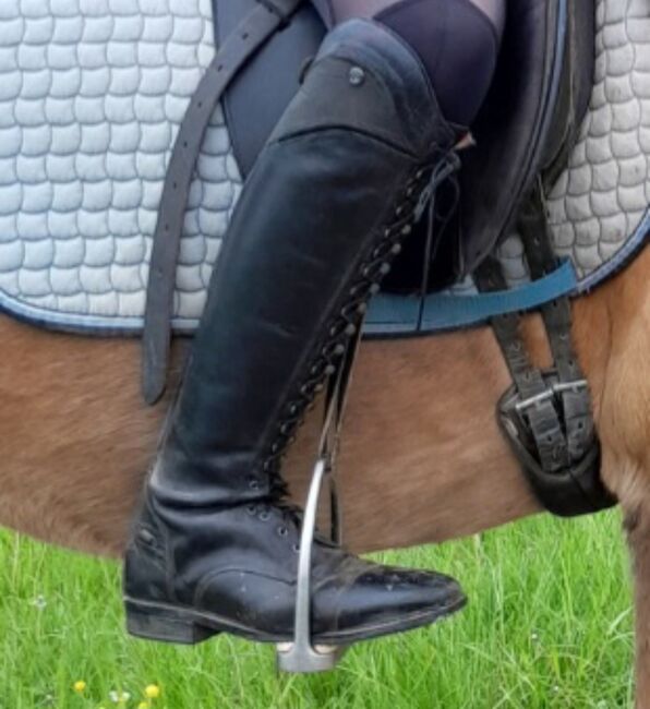 Reitstiefel Größe 41, QHP , Annalena zill , Riding Boots, Neuhof zenn