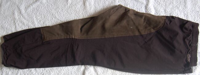 Reithose Equilibre Softshell Gr. 48, Equilibre Equilibre, Brigitte, Breeches & Jodhpurs, Eriswil