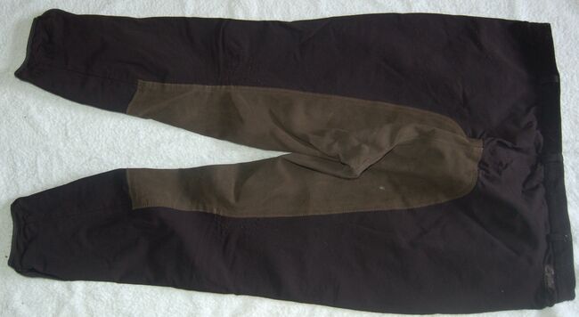 Reithose Equilibre Softshell Gr. 48, Equilibre Equilibre, Brigitte, Breeches & Jodhpurs, Eriswil, Image 4