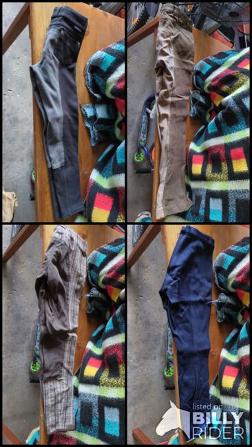 Reithosen Kinder und Erwachsene, Katharina Schwarz , Breeches & Jodhpurs, Darmstadt , Image 12