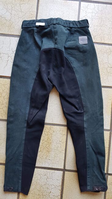 Reithose in 38  Bentex sportline, bentex, Heike, Breeches & Jodhpurs, Körle, Image 3