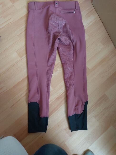Reithose reitleggins 42, Equilibre , Powerhorse, Breeches & Jodhpurs, Ziemetshausen, Image 3