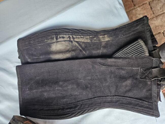 Reitchaps, HKM  Chaps, A.Kruse, Half Chaps, Rethwisch, Image 2