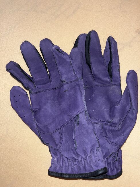 Reitbekleidung Reithose Jacke Chaps Handschuhe, Csilla, Breeches & Jodhpurs, Bietigheim-Bissingen, Image 15