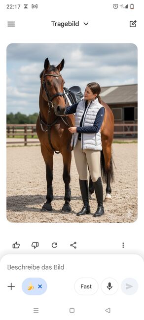 Reitjacke ärmellos unisex XL, Wolf Haiber , Shirts & Tops, Ilsfeld 