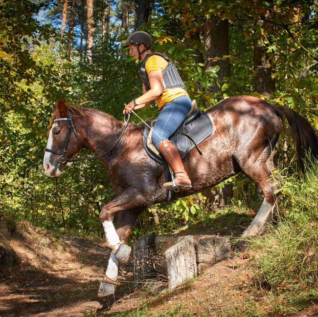 Reitunterricht, Doppellonge, Bodenarbeit, Beritt, Christiane Jenny Müller, Riding Lessons, Ergersheim, Image 7